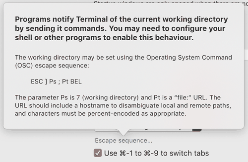 terminal app settings